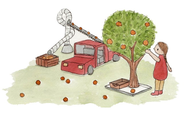 florida orange picking at the science center feb 2019