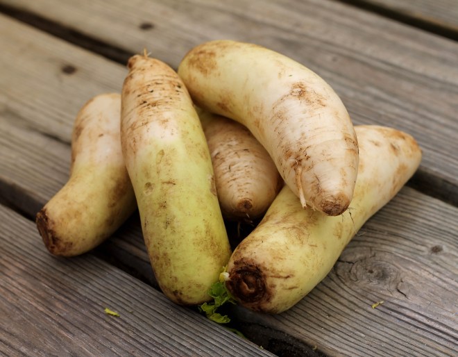 march 12 radishes.jpg